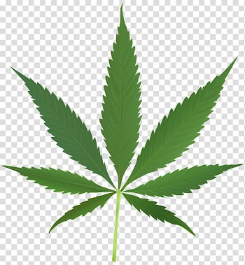 Cannabis Leaf Legalization Bong , cannabis transparent background PNG clipart