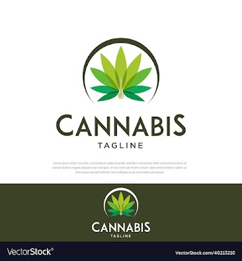 cannabis leaf logo design isolated inspiration