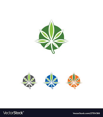Cannabis leaf logo designs inspiration vector image