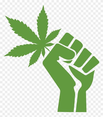 Cannabis Leaf Outline Download - Free Palestine End Israeli Occupation