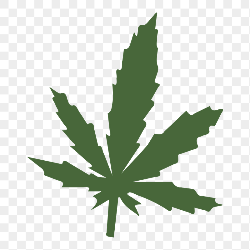 Cannabis leaf png sticker illustration, | Free PNG - rawpixel