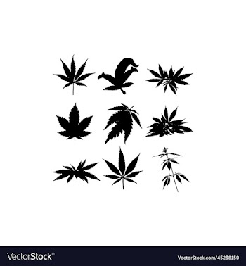cannabis leaf set icon silhouette