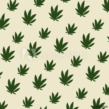 cannabis leafs plants pattern background