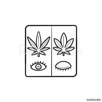 Cannabis sativa and cannabis indica for day and night use hand drawn outline doodle icon
