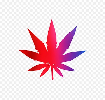 Cannabis sativa Clip art Cannabis ruderalis Marijuana -  