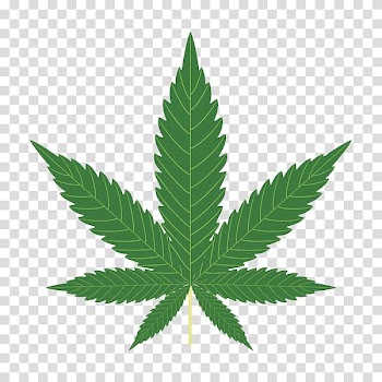 Cannabis sativa Hemp Legalization, cannabis transparent background PNG clipart