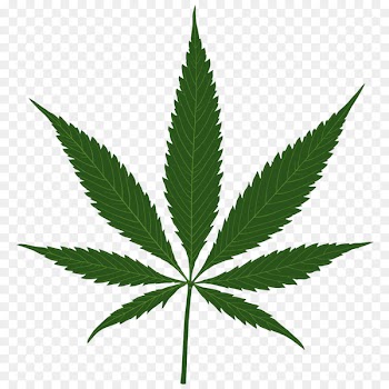 Cannabis sativa Leaf - Cannabis leaves illustrations 