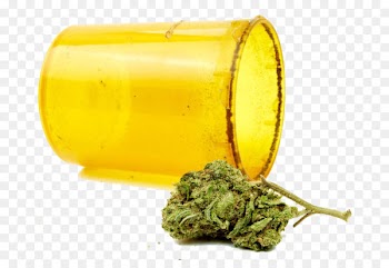 Cannabis sativa Marijuana Hash oil Joint - Marijuana and containers 