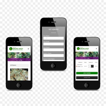 Cannabis shop Dispensary Medical cannabis Head shop - cannabis 