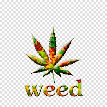 Cannabis smoking Birthday 420 Day, cannabis transparent background PNG clipart