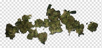 Cannabis smoking Desktop , cannabis transparent background PNG clipart