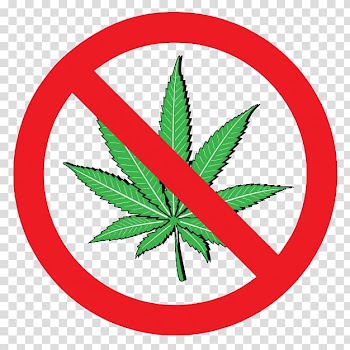 Cannabis smoking Drug possession Cannabis shop Dispensary, cannabis transparent background PNG clipart