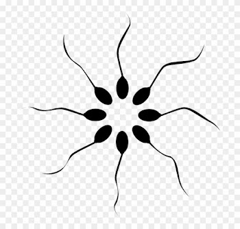 Cannabis Smoking Is Associated With Higher Sperm Count - Rebecca's Natural Foods
