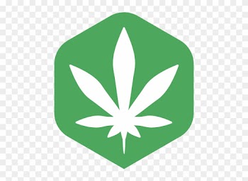 Cannabis Smoking Marijuana Cannabidiol Cannabis Shop - Cannabis
