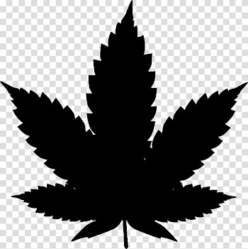 Cannabis smoking Medical cannabis , hemp leaves transparent background PNG clipart