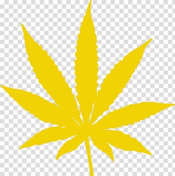 Cannabis smoking , pot leaf transparent background PNG clipart