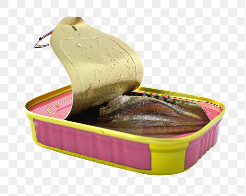 Canned anchovy png sticker, transparent | Free PNG - rawpixel