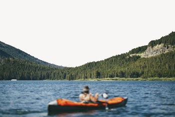 Canoe on lake border, pine | Free PSD - rawpixel