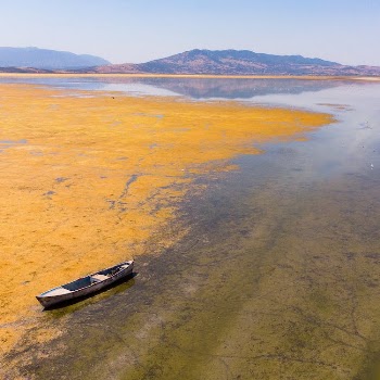 Canoe on Shallow Water at a Lake