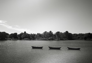 Canoes Floating on Lake Free Photo 