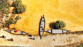 Canoes Near Shore