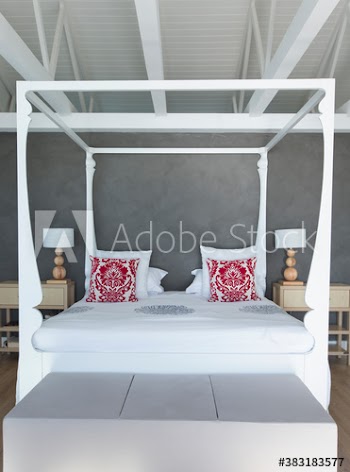 Canopy bed in luxury bedroom