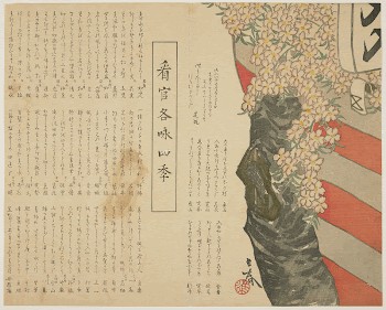 Canopy for viewing cherry blossoms | Free Photo - rawpixel