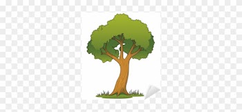 Canopy Tree Cartoon