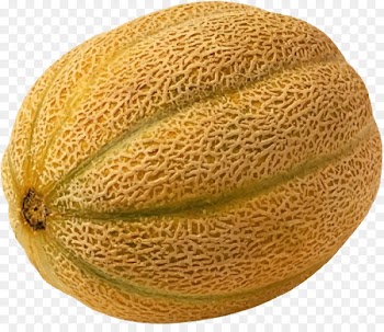 Cantaloupe 2011 United States listeriosis outbreak Honeydew Watermelon - Netted melon 