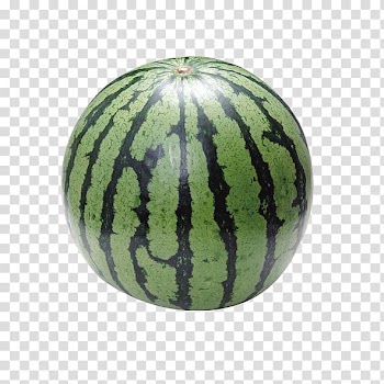 Cantaloupe Citrullus lanatus Fruit Watermelon, watermelon transparent background PNG clipart