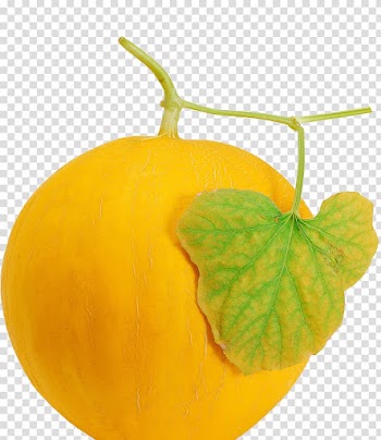 Cantaloupe Hami melon Honeydew Melonpan, Muskmelon transparent background PNG clipart