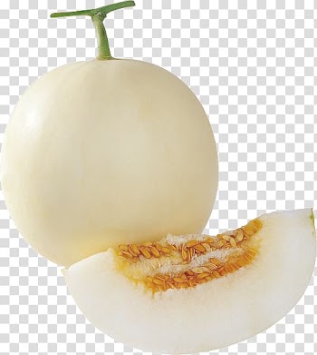 Cantaloupe Honeydew Seed Cucumber Melon, White melon transparent background PNG clipart