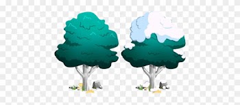 Canterlot Big Tree - My Little Pony Tree Png