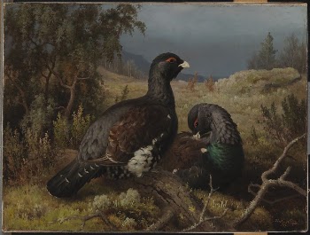 Capercaillie cocks, 1876, by Ferdinand | Free Photo - rawpixel