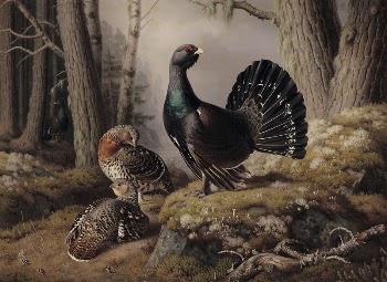 Capercaillies courting, 1862, by Ferdinand | Free Photo - rawpixel