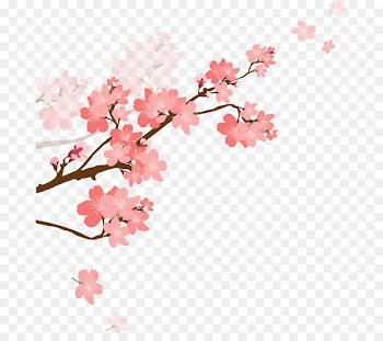 Capricorn Cherry blossom Zodiac Woman - capricorn 