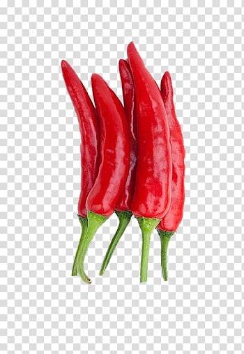 Capsicum annuum Steelyard balance Euclidean , Organic vegetables Reinwardtia transparent background PNG clipart