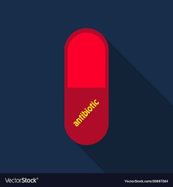 Capsules info graphic painkillers antibiotics vector image