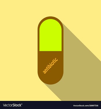 Capsules info graphic painkillers antibiotics vector image