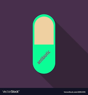 Capsules info graphic painkillers antibiotics vector image