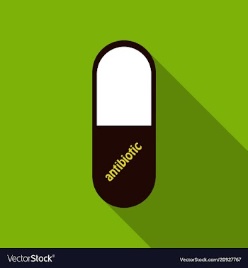 Capsules info graphic painkillers antibiotics vector image