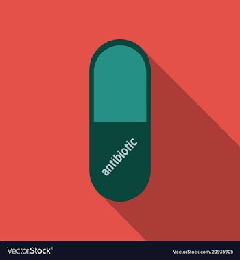 Capsules info graphic painkillers antibiotics vector image