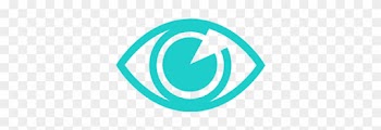 Capture Footage From Different Viewpoints Using Our - Video Surveillance Systems, Llc