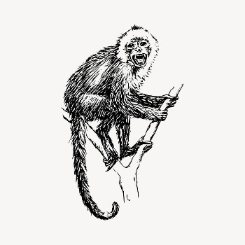 Capuchin monkey clipart, vintage hand | Free Vector - rawpixel