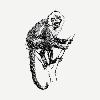 Capuchin monkey drawing, vintage illustration | Free PSD - rawpixel