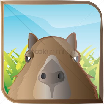 Capybara