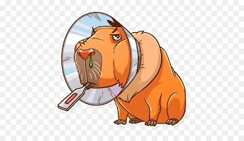 Capybara Telegram Sticker Snout Clip art - others 