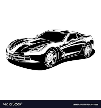 car 19