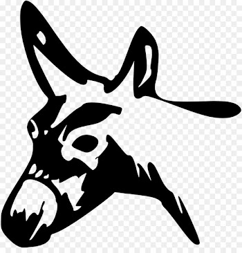 Car Bumper sticker Cattle -  