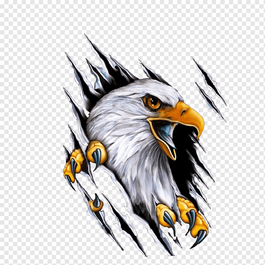 Car Mile High Harley-Davidson Motorcycle Decal, eagle, bald eagle painting, animals, pin, bald Eagle png